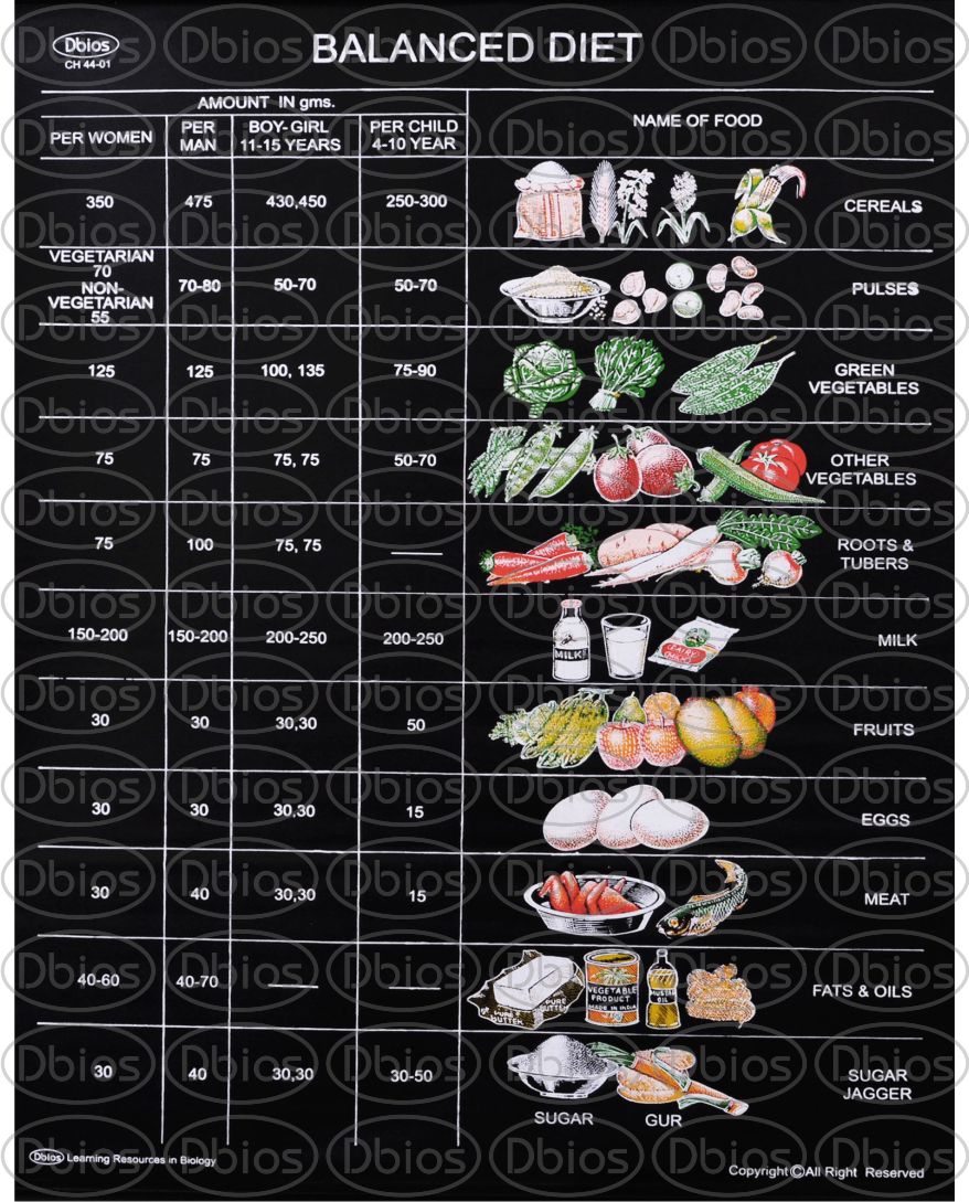 CH 44 BALANCED DIET | Dbios Charts